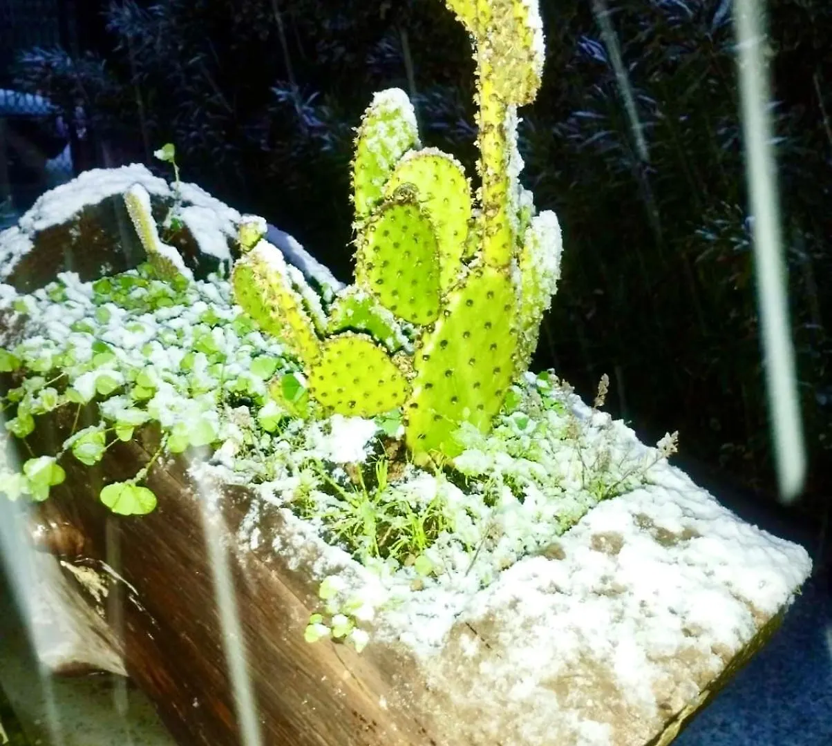 Casetta Sull'Etna Nicolosi Horská chata