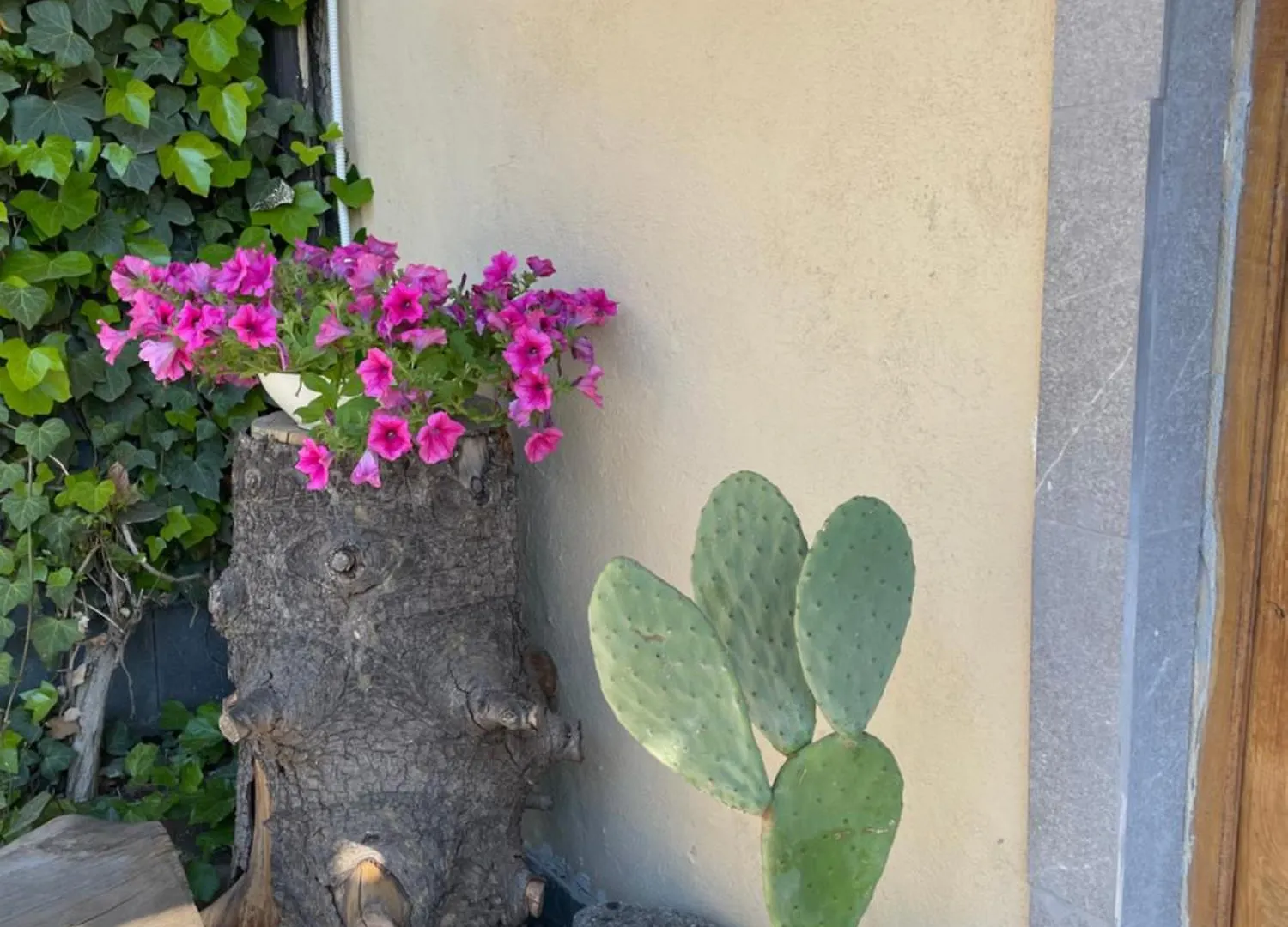 Casetta Sull'Etna Nicolosi Chalet